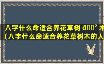 八字什么命适合养花草树 🌲 木（八字什么命适合养花草树木的人）